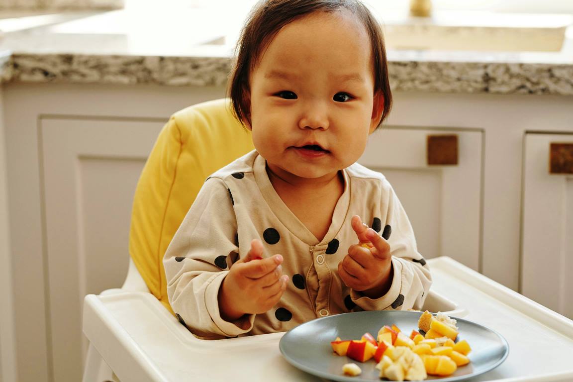 Organic Baby Food: A Sustainable Lifestyle